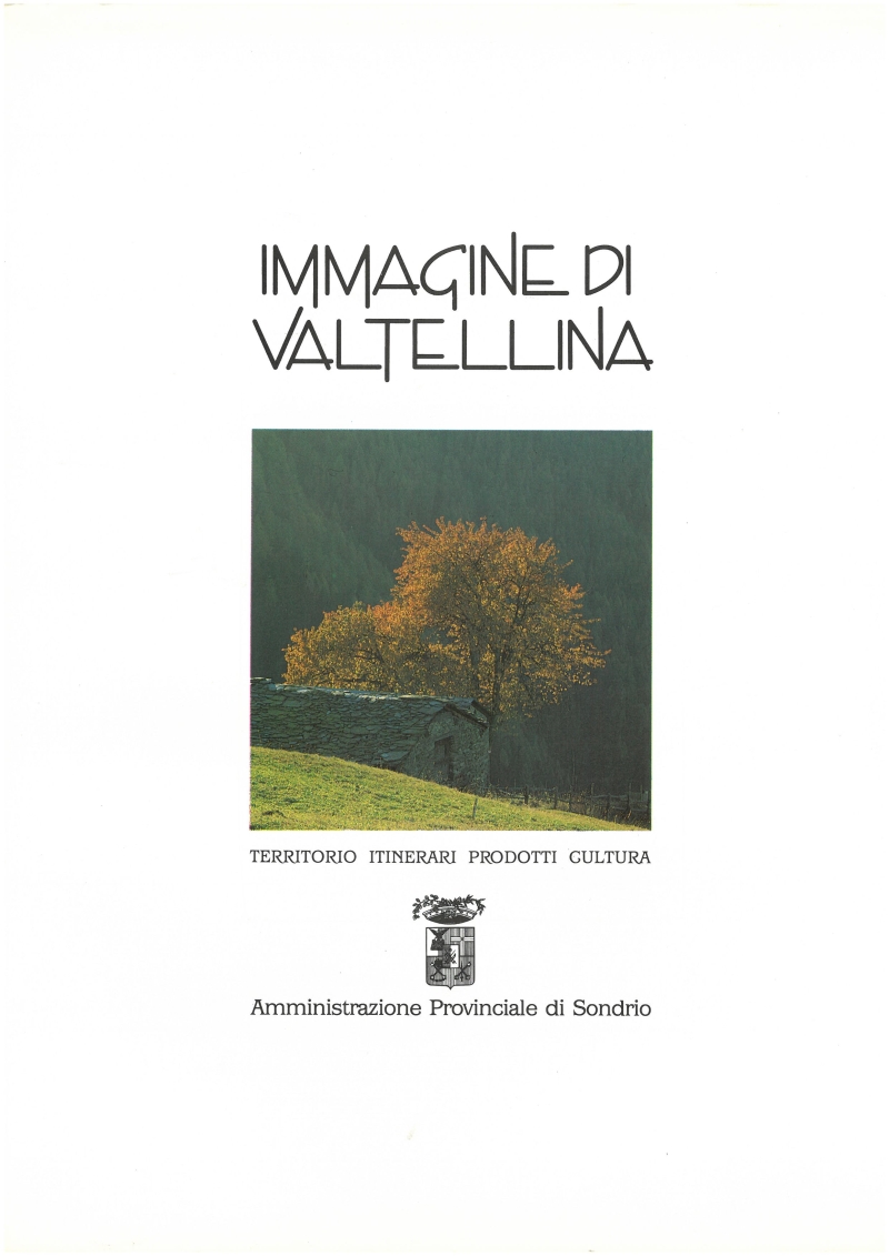 Copertina  Immagine di Valtellina : Territorio, itinerari, prodotti, cultura